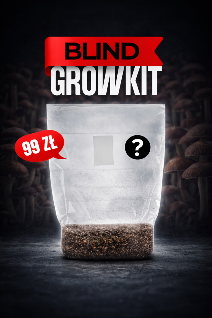 Blind Growkit Full Auto - Promocja