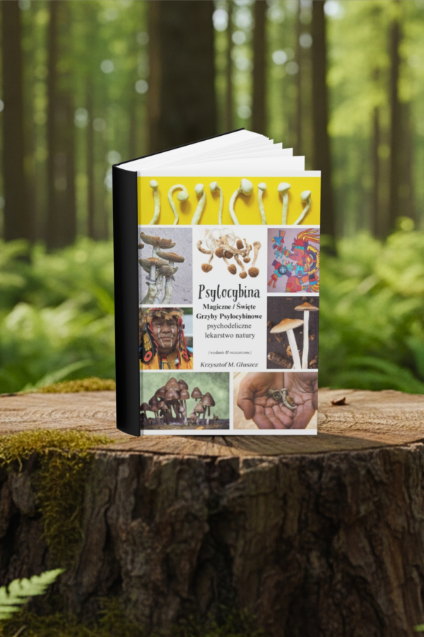 Magiczne / Święte Grzyby Psylocybinowe, psychodeliczne lekarstwo natury