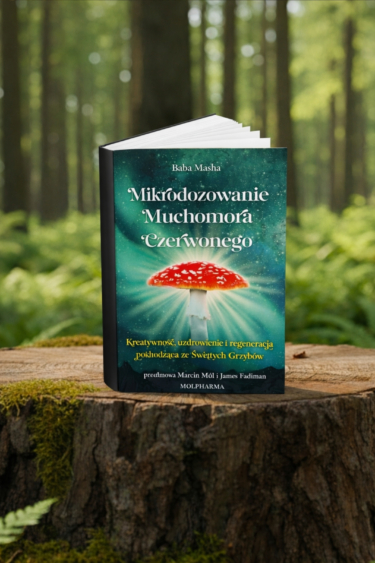 eleusinian mysteries grzyby - barwienie grzybni - basidiomycota edukacja